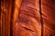 Canyon Woodgrain