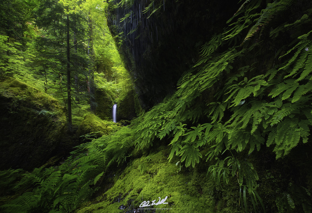 Mossy Grotto Falls Columbia River Gorge Oregon Photo Art Print Poster 18x12 inch